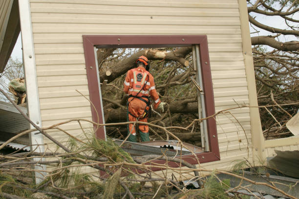 Best Tree Preservation Services  in Rio Linda, CA